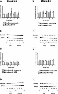 Frontiers | Neuroprotective Effects of Isosteviol Sodium in Murine ...