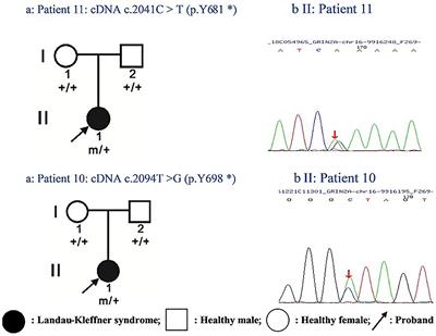 Frontiers Clinical Forms And Grin2a Genotype Of Severe End Of Epileptic Aphasia Spectrum Disorder Pediatrics