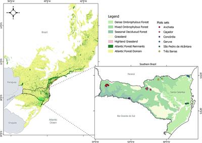 The Southern Atlantic Forest: Use, Degradation, and Perspectives