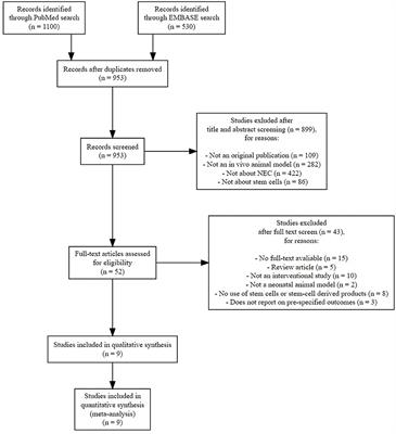 Frontiers | Stem Cells as Therapy for Necrotizing Enterocolitis: A ...