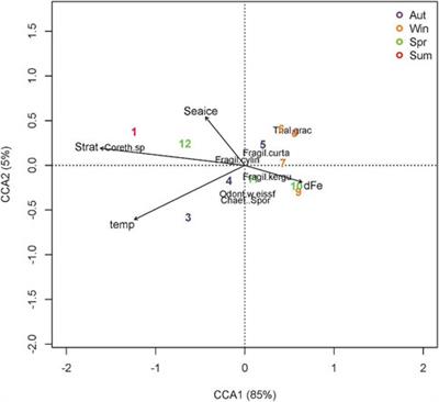 Sinking Diatom Assemblages As A Key Driver For Deep Carbon And Silicon Export In The Scotia Sea Southern Ocean Earth Science Frontiers