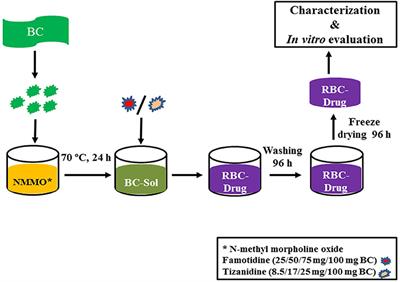 Frontiers Beyond Cellulose Pharmaceutical Potential For Bioactive