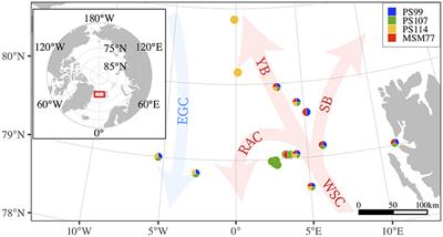 Frontiers Spatio Temporal Variations In Community Size Structure Of Arctic Protist Plankton In The Fram Strait Marine Science