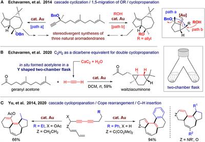 Frontiers | Recent Advances in Construction of Polycyclic Natural Product Scaffolds via One-Pot ...