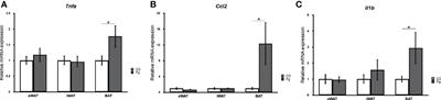 Frontiers | Endotoxemia by Porphyromonas gingivalis Alters Endocrine ...