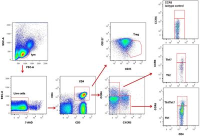 Frontiers | Reduced CD4+T Cell CXCR3 Expression in Patients With ...