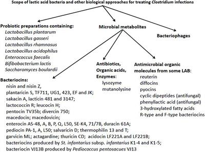 Frontiers | Bacteriocins From LAB and Other Alternative Approaches for ...