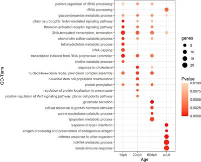 Modeling methyl-sensitive transcription factor motifs with an