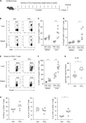 Foxp3 Regulatory T Cells Inhibit Ccl4 Induced Liver Inflammation And Fibrosis By Regulating Tissue Cellular Immunity Immunology Frontiers