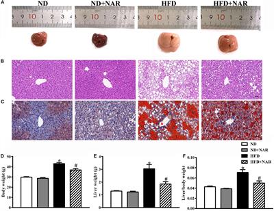 Frontiers | Naringin Attenuates High Fat Diet Induced Non-alcoholic ...