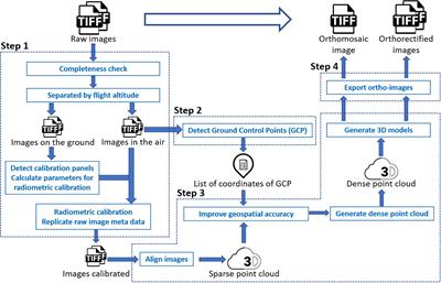 Frontiers | Improved Accuracy of High-Throughput Phenotyping From ...