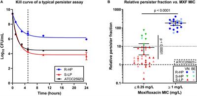 Frontiers | The Persister Character of Clinical Isolates of ...