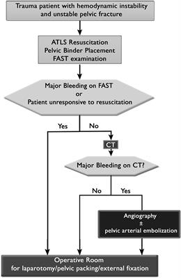 Frontiers Management Of Pelvic Ring Injury Patients With Hemodynamic Instability Surgery