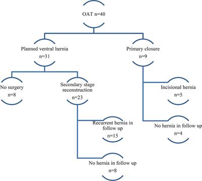 Frontiers  Long Term Outcome After Open Abdomen Treatment: Function and  Quality of Life