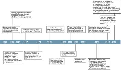 Frontiers | The Oral Microbiome and Cancer