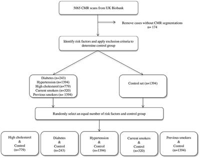 Frontiers | Radiomics Signatures of Cardiovascular Risk Factors in ...