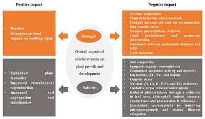 Frontiers | Drought and Salinity Stress Responses and Microbe-Induced ...