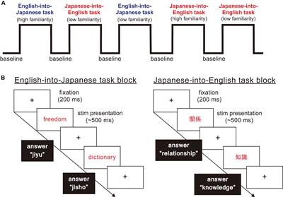 Frontiers Language Familiarity And Proficiency Leads To Differential Cortical Processing During Translation Between Distantly Related Languages