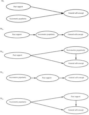 Frontiers Sociometric Popularity Perceived Peer Support And Self Concept In Adolescence Psychology