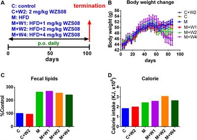 Frontiers 5 Bis 2 6 Difluoro Benzylidene Cyclopentanone Acts As A Selective 11b Hydroxysteroid Dehydrogenase One Inhibitor To Treat Diet Induced Nonalcoholic Fatty Liver Disease In Mice Pharmacology