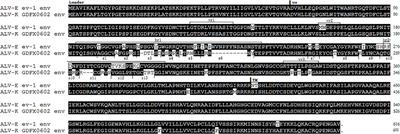 Frontiers | Single Amino Acids G196 and R198 in hr1 of Subgroup K Avian ...