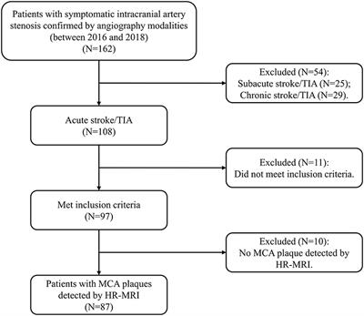 Frontiers | Plaque Wall Distribution Pattern of the Atherosclerotic ...