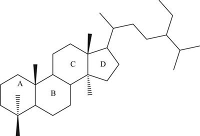 Frontiers Phytosterols From Preclinical Evidence To Potential Clinical Applications Pharmacology