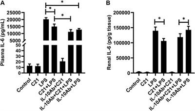 Revue sur les récepteurs de l'angiotensine II de type 2 (AT2R) publiée dans  le journal Pharmaceuticals. - UR 20218 NEURIT