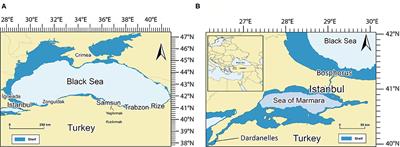 Frontiers | Corrigendum: The Lost Fish of Turkey: A Recent History of ...