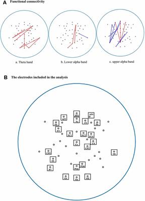 Drinks Full Tait Rep Sex Videos - Frontiers | Alterations of Functional Connectivity During the Resting State  and Their Associations With Visual Memory in College Students Who Binge  Drink