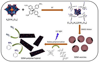 Frontiers | Self-Assembly and Cascade Catalysis by a Soft-Oxometalate ...