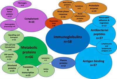 Frontiers Csf Levels Of Elongation Factor Tu Is Associated With Increased Mortality In Malawian Adults With Streptococcus Pneumoniae Meningitis Cellular And Infection Microbiology