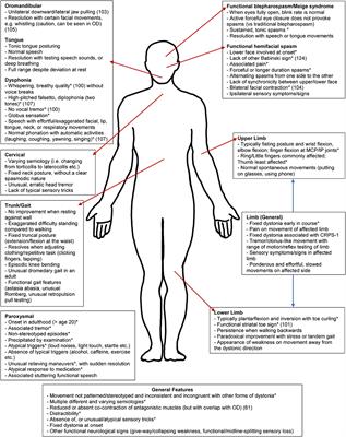 Raj Web Sleeping Sex - Frontiers | Functional Dystonia: Differentiation From Primary Dystonia and  Multidisciplinary Treatments