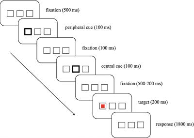 Frontiers | Neural Mechanisms of Reward-by-Cueing Interactions: ERP ...