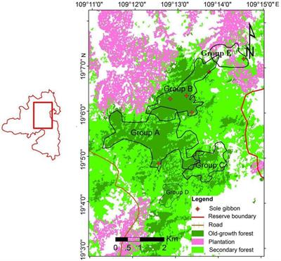 Frontiers | The Genetic Status of the Critically Endangered Hainan ...