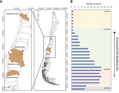 Frontiers Endocrine Disruptor Impacts On Fish From Chile The Influence Of Wastewaters Endocrinology