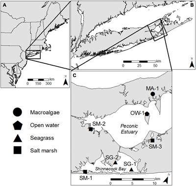 Frontiers  Ecosystem Metabolism Modulates the Dynamics of Hypoxia and  Acidification Across Temperate Coastal Habitat Types