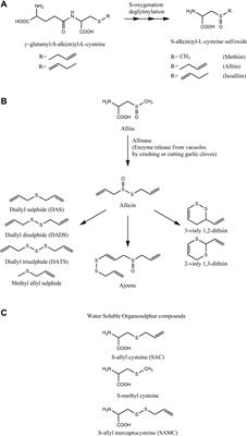 Overview of antibacterial, antitoxin, antiviral, and antifungal