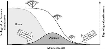 Frontiers  Ecology as a Tool to Assist Conservation of a Rare and Endemic  Mediterranean Plantago Species