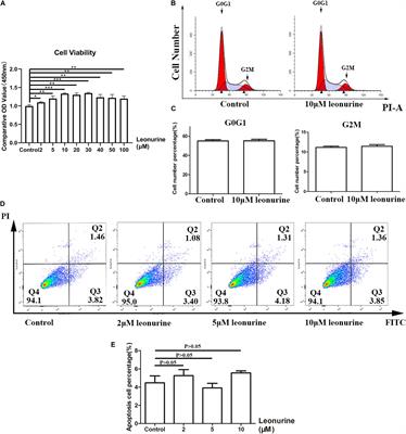 Frontiers Leonurine Promotes The Osteoblast Differentiation Of Rat Bmscs By Activation Of Autophagy Via The Pi3k Akt Mtor Pathway Bioengineering And Biotechnology