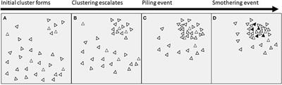 Smothering time above the smothering threshold (t valid ) versus mean