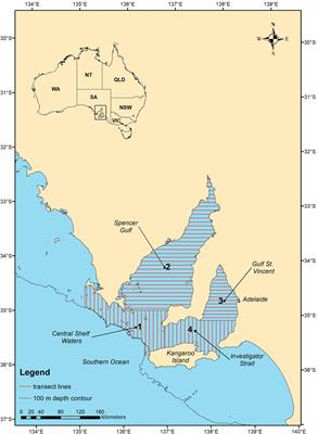 Area of study: South Australian waters open to gillnet fishing