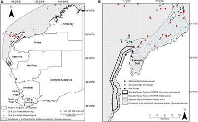 Dolphin isotope data and discriminant function analysis results