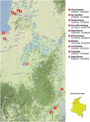 Frontiers Applications Of Edna Metabarcoding For Vertebrate Diversity Studies In Northern Colombian Water Bodies Ecology And Evolution