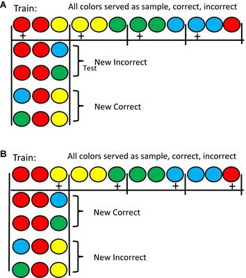 Frontiers Macphail 1987 Revisited Pigeons Have Much Cognitive Behavior In Common With Humans Psychology