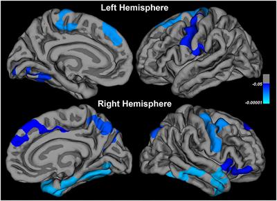 Frontiers | Longitudinal Study of Cognitive and Emotional Alterations ...