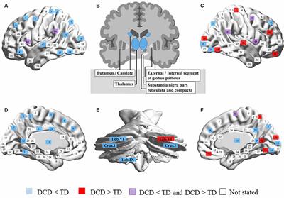 Frontiers  Neural Basis and Motor Imagery Intervention Methodology Based  on Neuroimaging Studies in Children With Developmental Coordination  Disorders: A Review