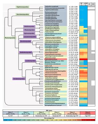 Frontiers | Genome-Wide Analyses of Repeat-Induced Point Mutations in ...