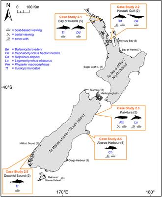 Frontiers Looking Back To Move Forward Lessons From Three Decades Of Research And Management Of Cetacean Tourism In New Zealand Marine Science