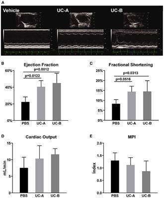 Frontiers Consistent Long Term Therapeutic Efficacy Of Human Umbilical Cord Matrix Derived Mesenchymal Stromal Cells After Myocardial Infarction Despite Individual Differences And Transient Engraftment Cell And Developmental Biology